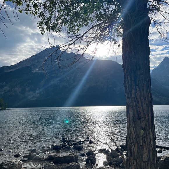 Meet your Posher, Jackie - Picture 1 of 2